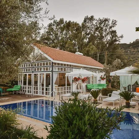 Hotel Ala 4*